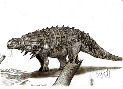 Edmontonia Pictures & Facts - The Dinosaur Database