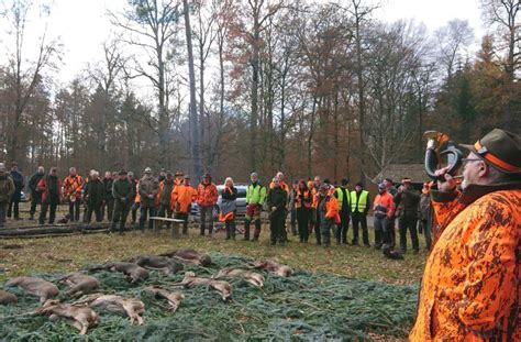 Drückjagd im Schönbuch 350 Jäger wollen Wild zur Strecke bringen