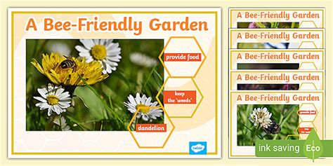 Bee Friendly Garden Poster CfE Resources Teacher Made