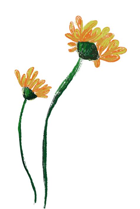 Yellow Flowers Yellow Flowers Plant Png Transparent Image And