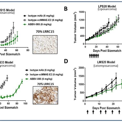 In Vivo Anti Tumor Activity Of Abbv 085 Monotherapy In Sts Ab Tumor