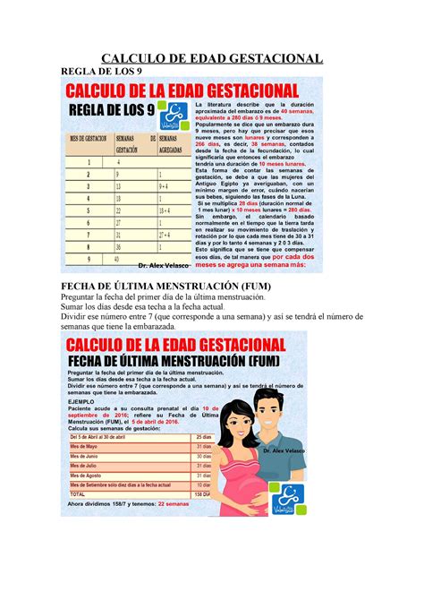 Calculo DE EDAD Gestacional CALCULO DE EDAD GESTACIONAL REGLA DE LOS