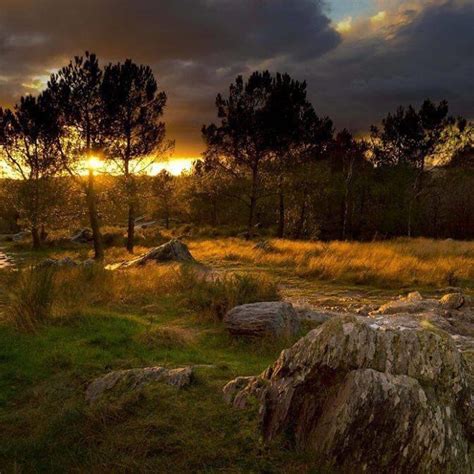 Brocéliande, land of legends in Brittany