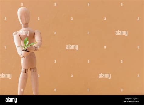 Wooden Mannequin With Plant On Color Background Stock Photo Alamy