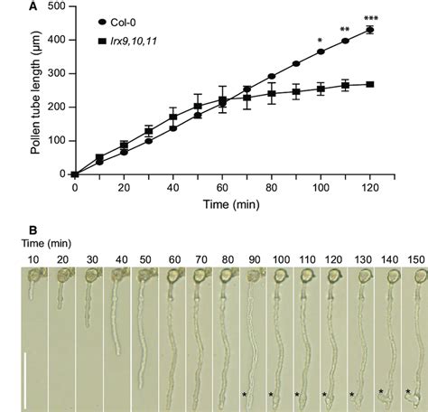 A Kinetic Analysis Of In Vitro Growing Of Col 0 And Triple Mutant