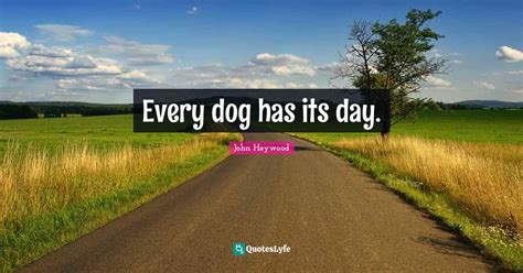 Every Dog Has Its Day Quote By John Heywood Quoteslyfe