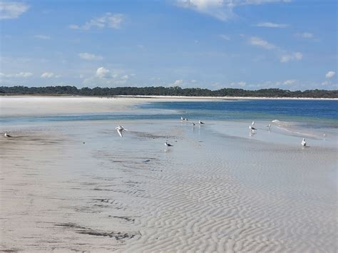 Little Talbot Island State Park Beach in Jacksonville, FL (2020 Photos ...