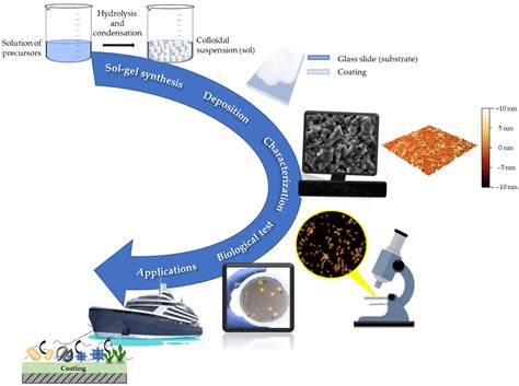 Gels Free Full Text Design And Development Of Fluorinated And