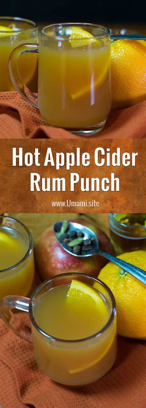 Hot Apple Cider Rum Punch Umami