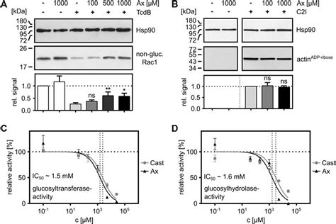 Frontiers Inhibition Of Clostridioides Difficile Toxins Tcda And Tcdb By Ambroxol