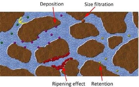 Figure From Theoretical And Computational Study Of Colloid