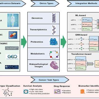 Illustration Of Multi Omics Based Data Integration Using Machine