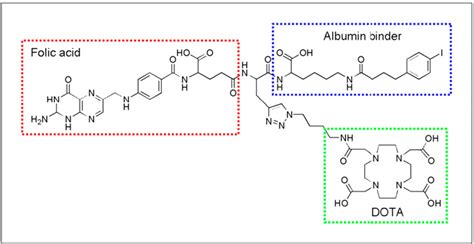 Figure 1 From DOTA Conjugate With An Albumin Binding Entity Enables The