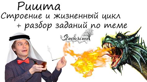Ришта. Строение и жизненный цикл ришты. Примеры решения заданий - YouTube