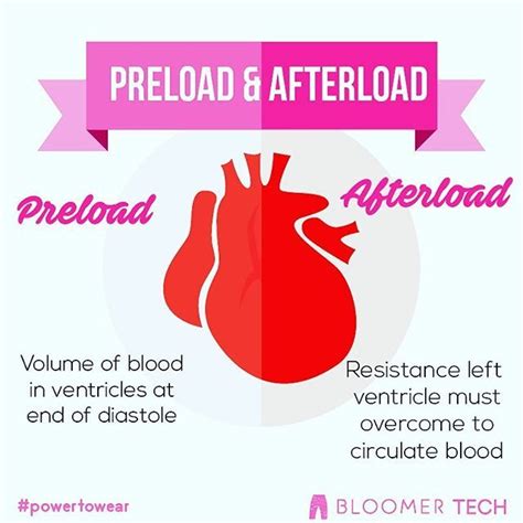 This is an example of preload and afterload #heart #hearthealth # ...