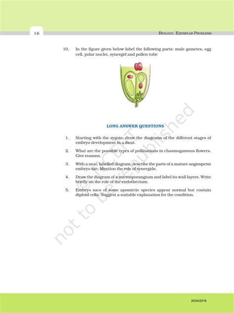 Ncert Exemplar Book For Class 12 Biology Chapter 2 Sexual Reproduction