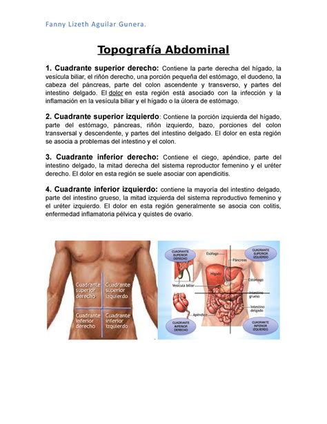 Topografía Abdominal Topografía Abdominal 1 Cuadrante superior