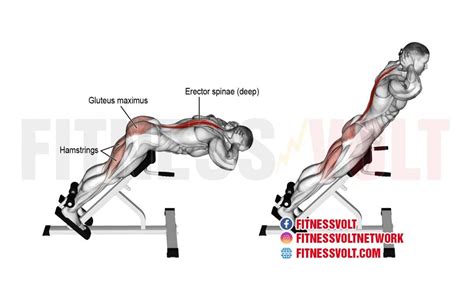 How To Do Hyperextension Spinal Erectors Hamstrings Fitness Volt