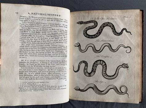 An Essay Towards A Natural History Of Serpents In Two Parts By Owen