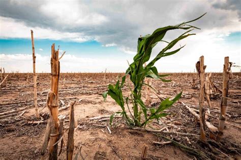 Millions De Personnes En Ins Curit Alimentaire En F Vrier Dans