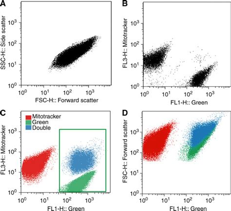 A Highly Sensitive Plasma Von Willebrand Factor Ristocetin Cofactor