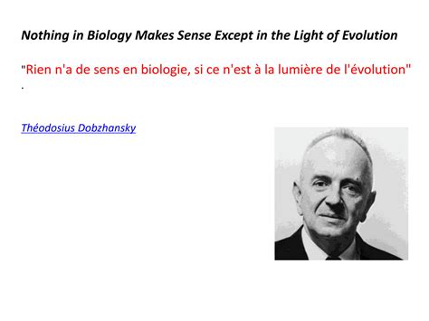 SOLUTION Evolution Mol Culaire Cours 1 La Theorie De L Evolution