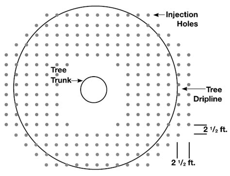 Tree Shrub Fertilization In Michigan Owen Tree Service