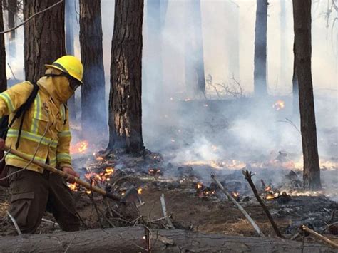 Contienen incendio forestal que ha consumido 4 18 hectáreas en la