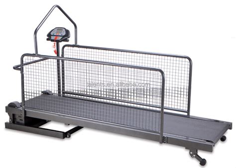 pet treadmill  catscat treadmill pet treadmill view pet treadmill  cats talents