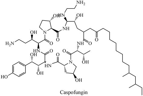 Caspofungin And Fungal Infection