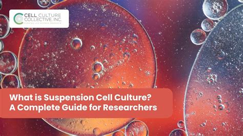 What Is Suspension Cell Culture A Complete Guide For Researchers