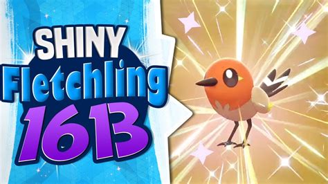 SHINY FLETCHLING IN 1613 EGGS Evolution Pokemon Camp Reaction