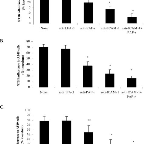 Adhesion Of NTHi And S Pneumoniae To Respiratory Epithelial Cells Is