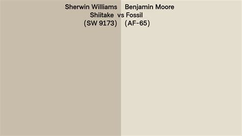 Sherwin Williams Shiitake SW 9173 Vs Benjamin Moore Fossil AF 65