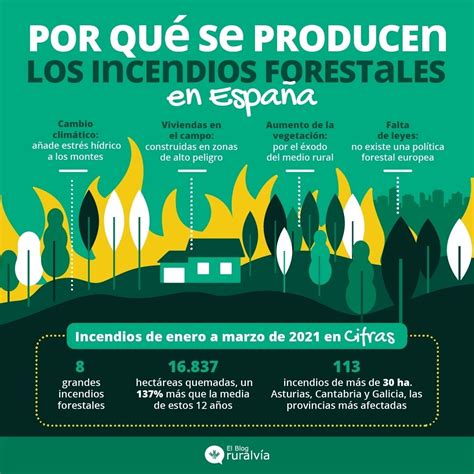 Los Incendios Forestales En España Un Peligro Para La Naturaleza