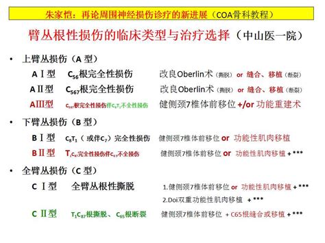 再论周围神经损伤诊疗的新进展 医学文章 唯医allinmd