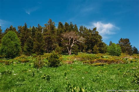 Плато Лаго-Наки. часть 2: ru_travel — LiveJournal