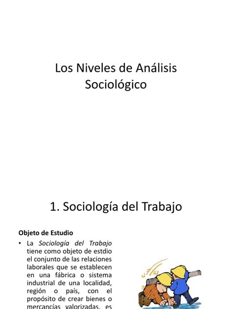 Los Niveles De Análisis Sociológico Sociología Sociedad