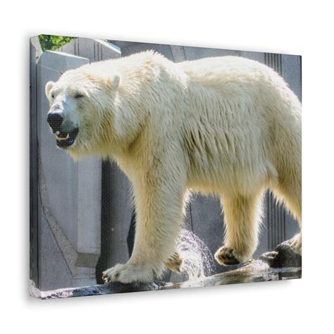 Polar Bear Canvas Print Nursery Art Polar Bear Nursery Polar Bear Art