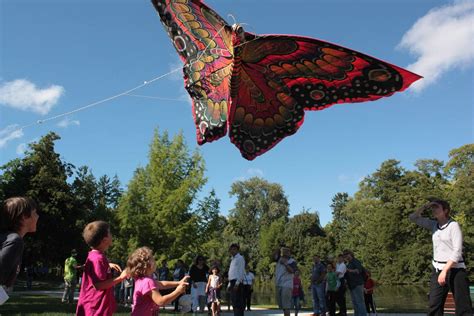 Passion Nasser Omar A Propos Une D Monstration De Cerfs Volants Au