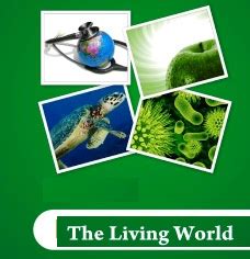 Diversity in the Living World- Study Material for NEET (AIPMT ...