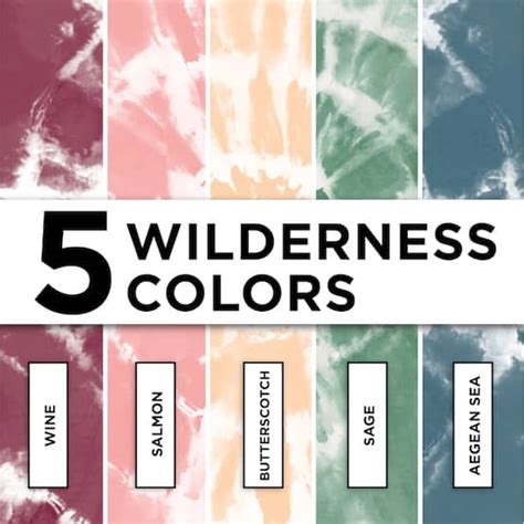 Tulip® Wilderness One Step Tie Dye Kit® Michaels