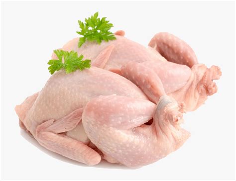 Suguna Chicken Logo Png Aobaxtbh An4bm Yvette Harber