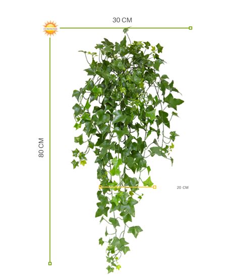 Groene Kunsthangplant Voor Buiten Jaar Kleurgarantie