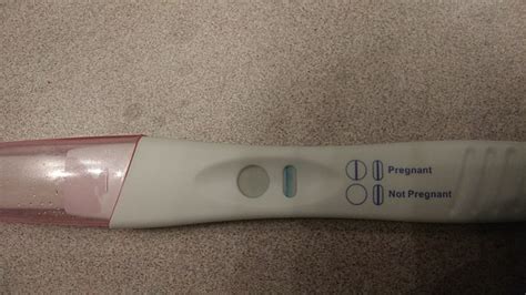 Evap Line Or Faint Positive Equate Pregnancy Test Glow Community