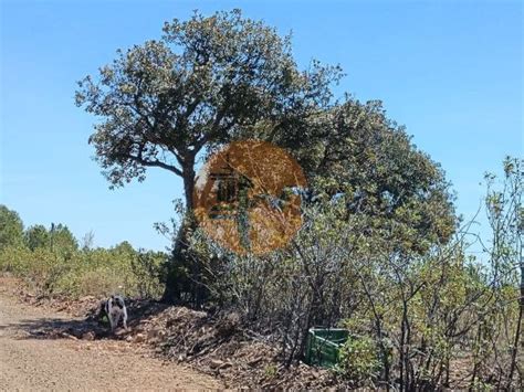 Terreno Venda Em Azinhal Castro Marim Idealista