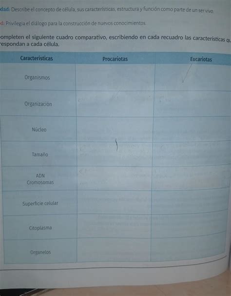 Completen El Siguiente Cuadro Comparativo Escribiendo En Cada Recuadro