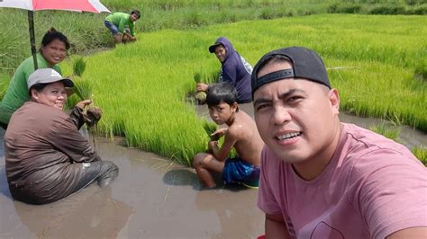 Bukid Episode Pagtatanim Ng Palay Life In The Province Vlog 280