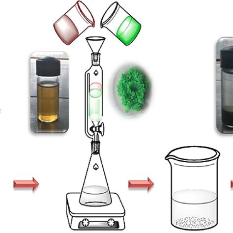 Schematic Diagram Of Biosynthesis Nio Nps Download Scientific Diagram