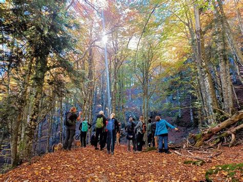 Ponte Ognissanti In Emilia Romagna Passeggiate D Autunno Per